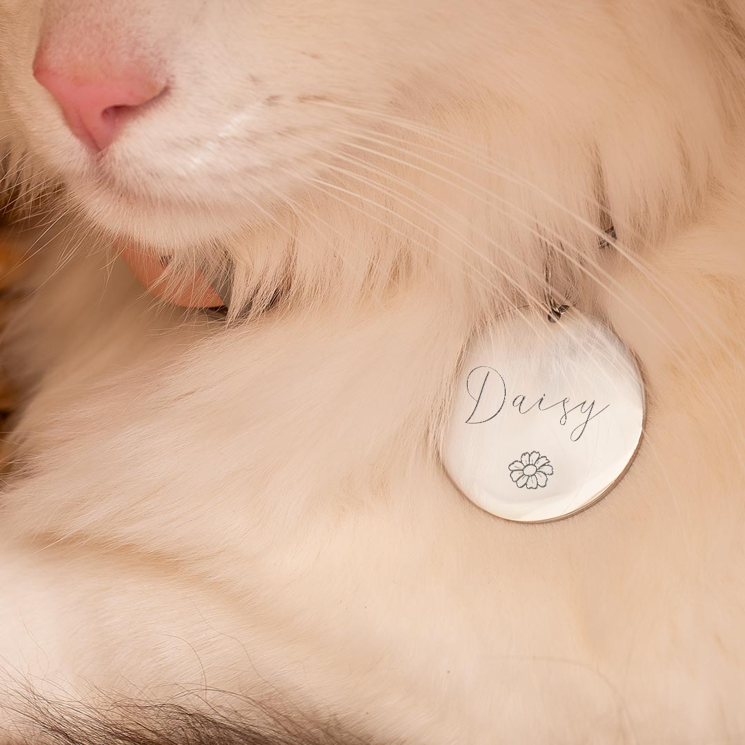 Name and Illustration Disc Personalised Pet Tag