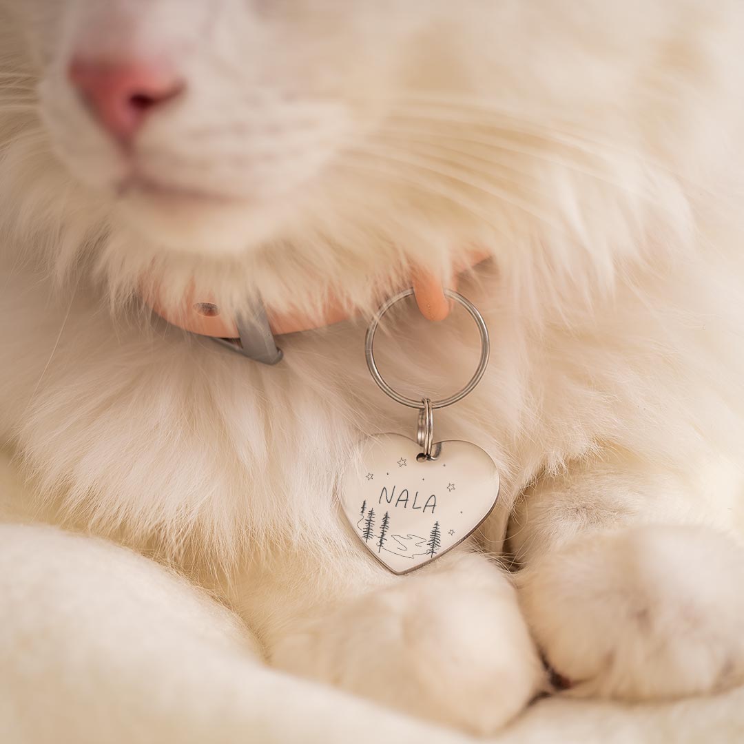 stainless steel heart pet tag 